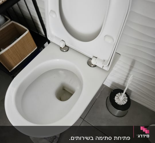 אסלה פתוחה עם מברשת ניקוי בצד